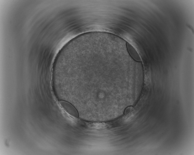 X0000102381144200808221756