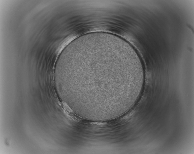 X0000102381145200808221756