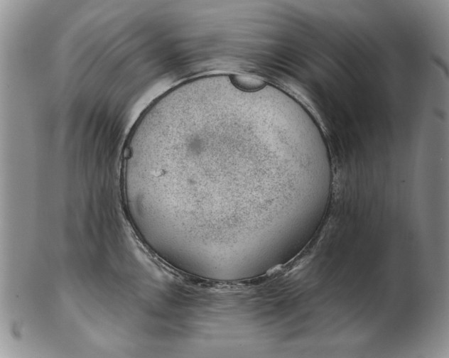 X0000102381146200808221756