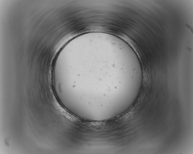 X0000102381147200808221756