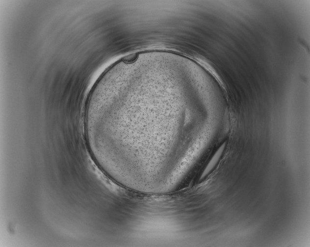 X0000102381148200808221756