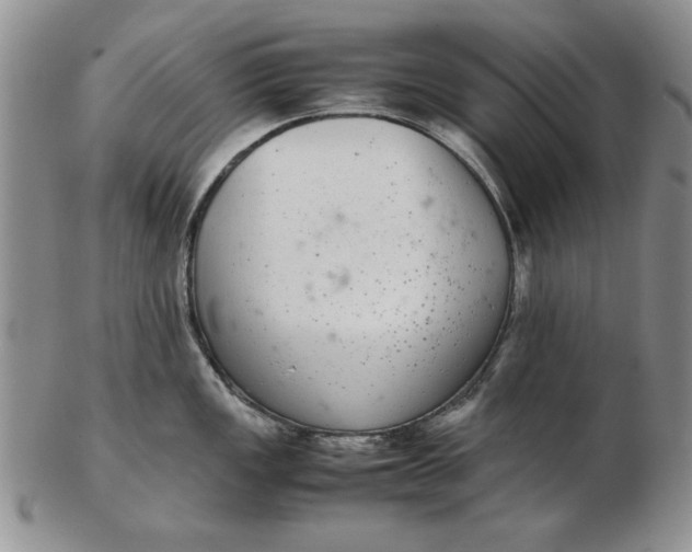 X0000102381149200808221756