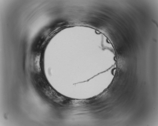 X0000102381150200808221756