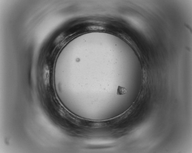 X0000102381151200808221756