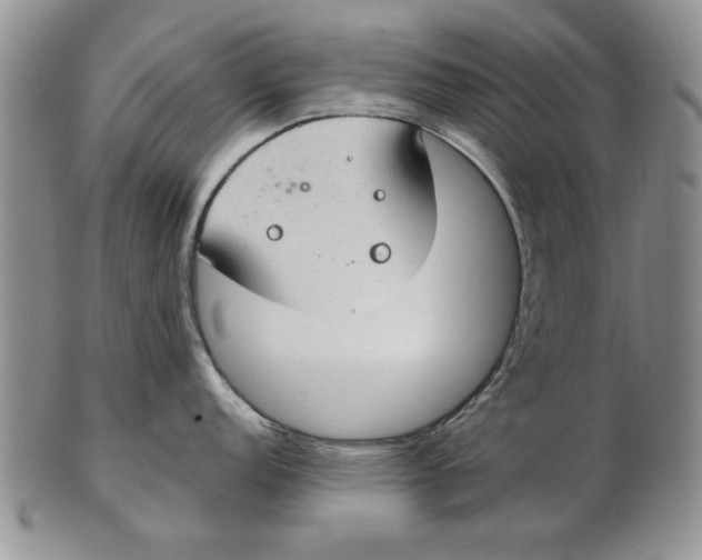 X0000102381152200808221756