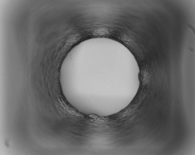 X0000102381153200808221755