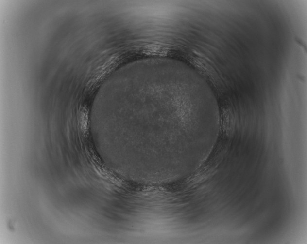 X0000102381154200808221755