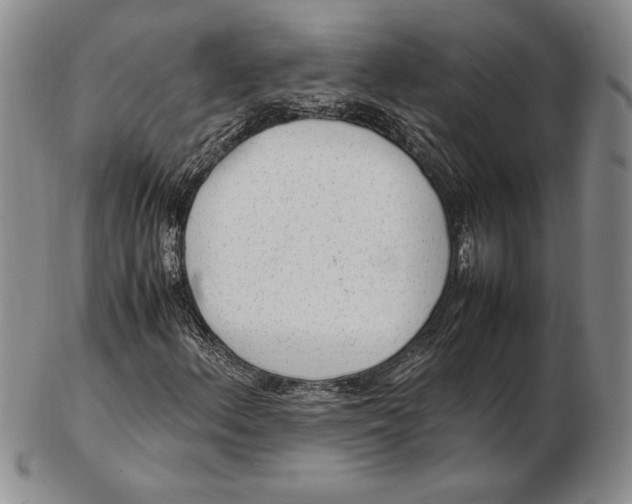 X0000102381156200808221755