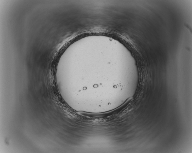 X0000102381160200808221755