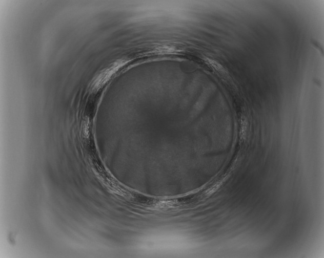 X0000102381161200808221755