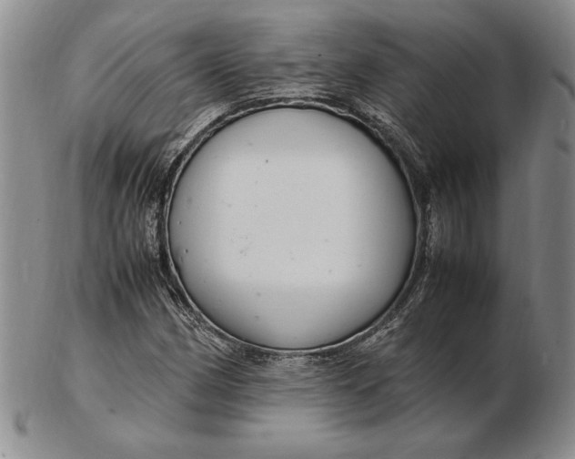 X0000102381162200808221755