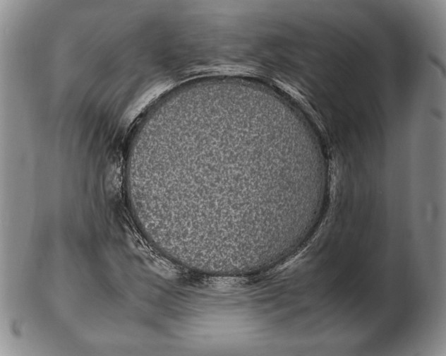 X0000102381163200808221755