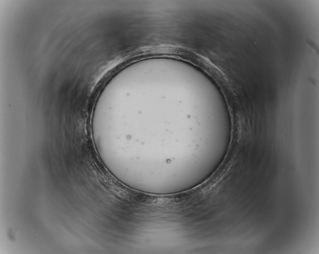 X0000102381166200808221755