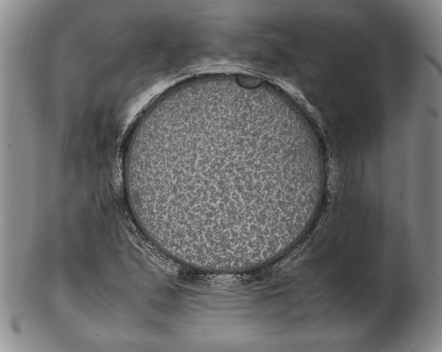 X0000102381167200808221755