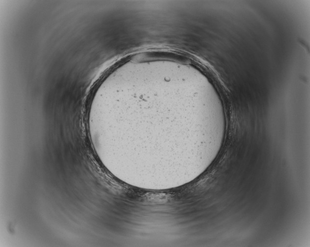 X0000102381168200808221755