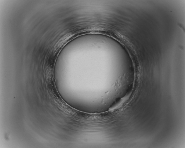 X0000102381169200808221755