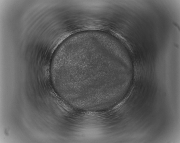 X0000102381170200808221755