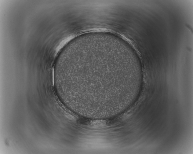 X0000102381171200808221755