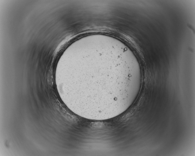 X0000102381172200808221755