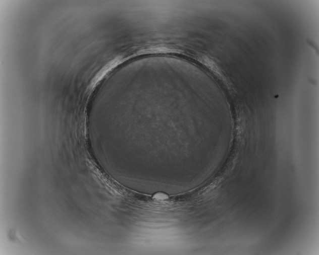 X0000102381173200808221755