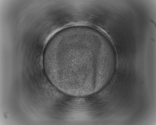 X0000102381174200808221755