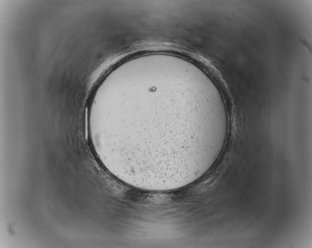 X0000102381175200808221755