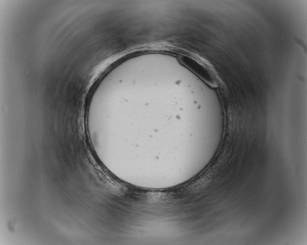 X0000102381176200808221755