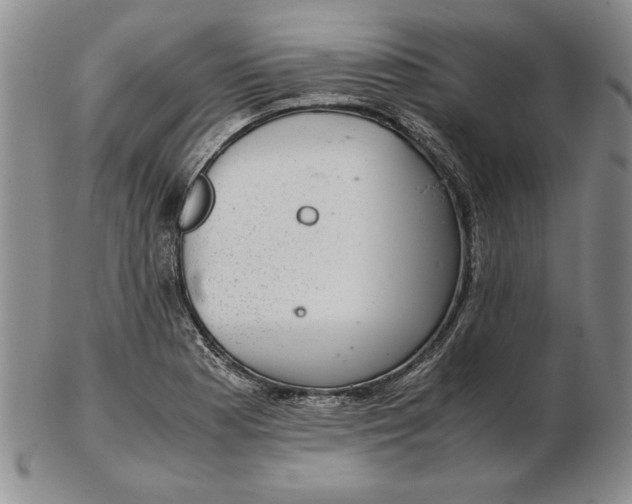 X0000102381177200808221755