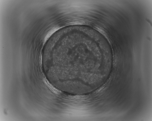 X0000102381179200808221755