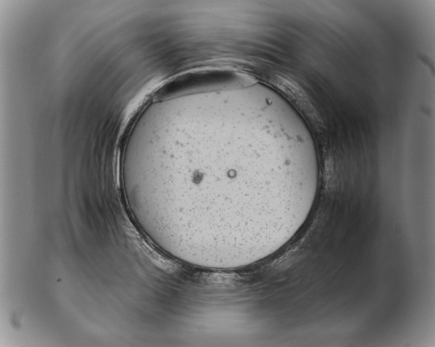 X0000102381180200808221755