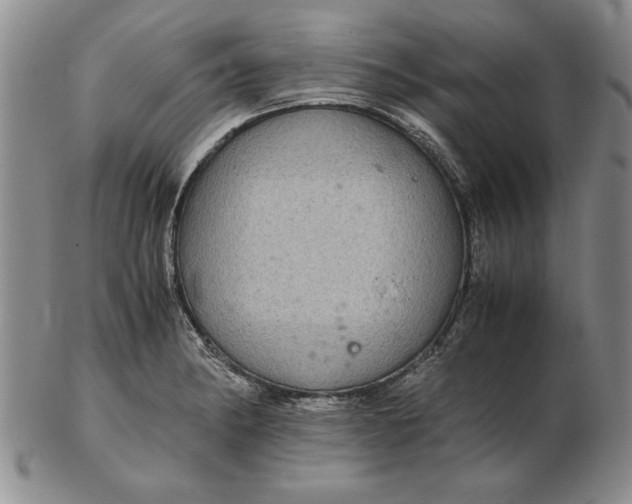 X0000102381182200808221755