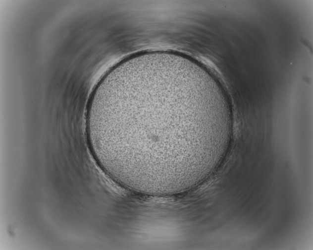 X0000102381183200808221755