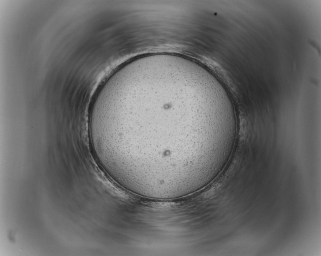 X0000102381184200808221755