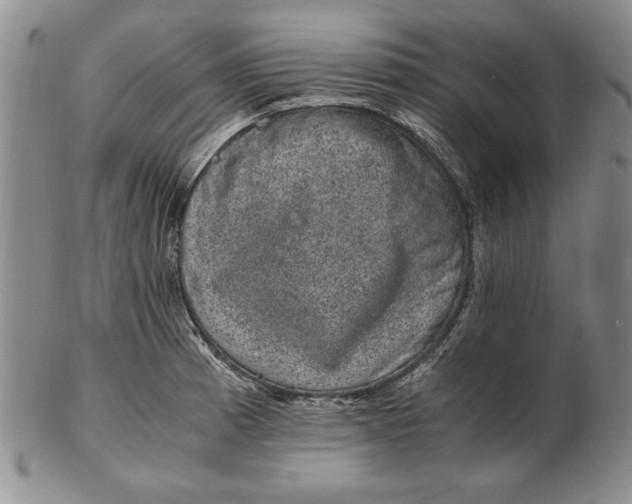 X0000102381185200808221755