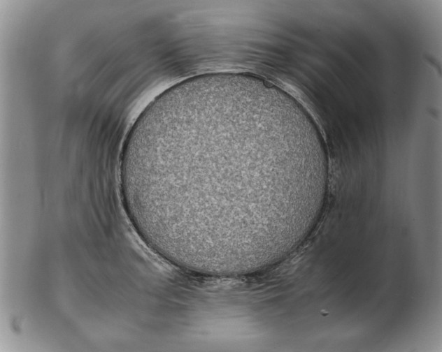 X0000102381187200808221755