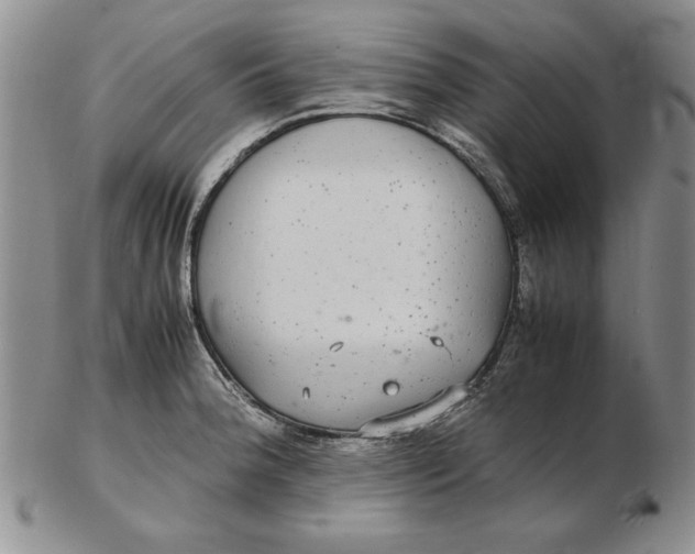 X0000102381188200808221755