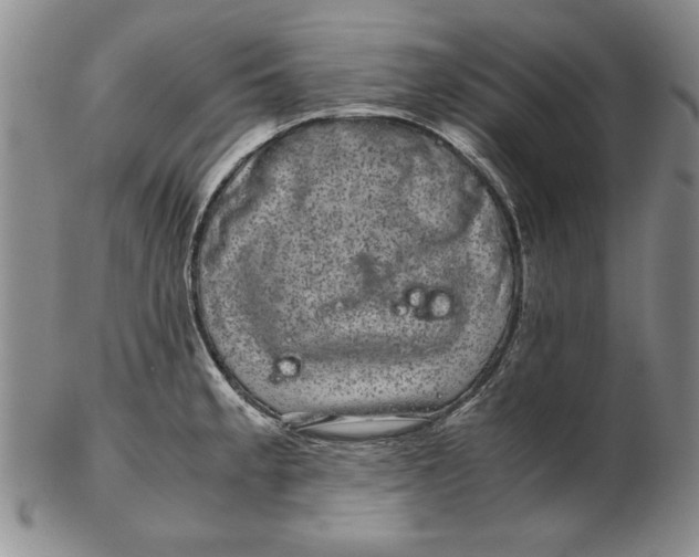 X0000102381189200808221755