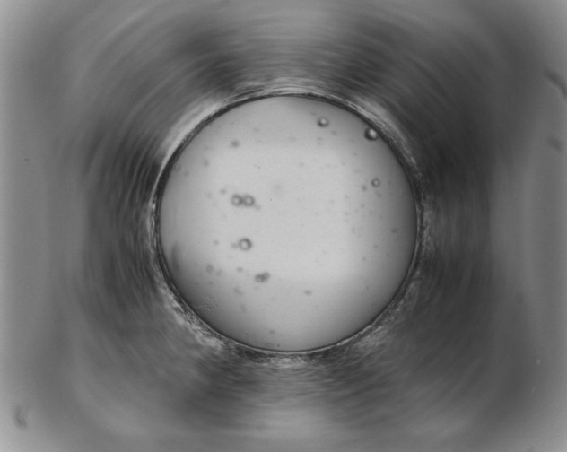 X0000102381190200808221755