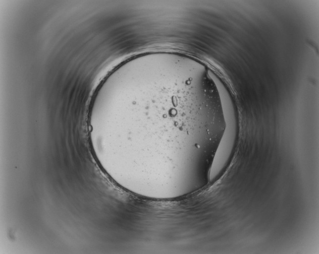 X0000102381192200808221755