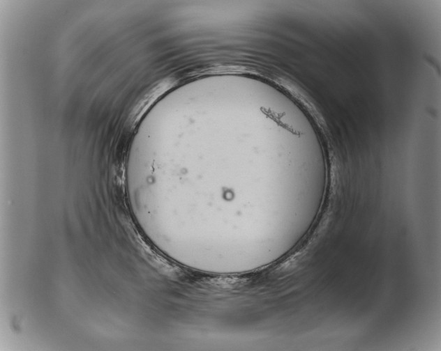 X0000102381193200808221755