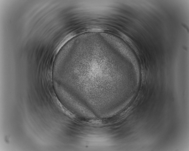 X0000102381194200808221755