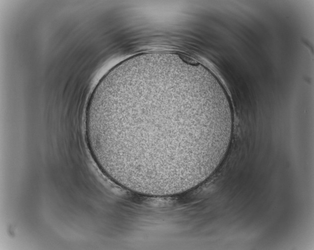 X0000102381195200808221755