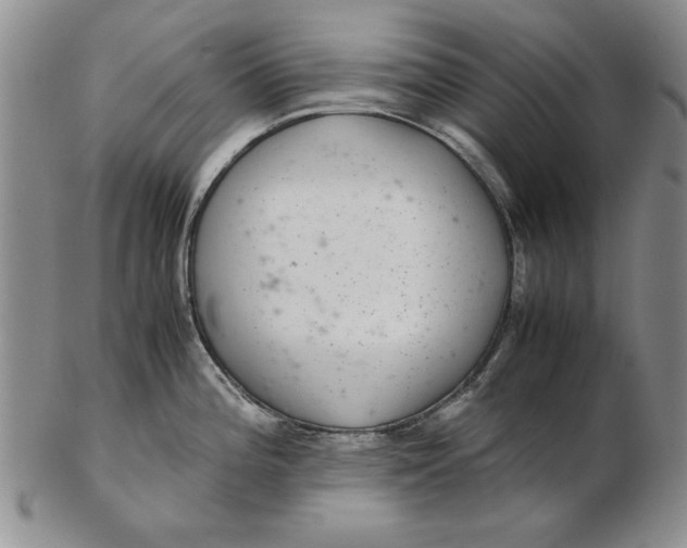 X0000102381196200808221755