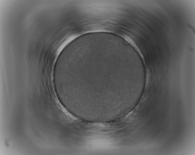 X0000102381197200808221755