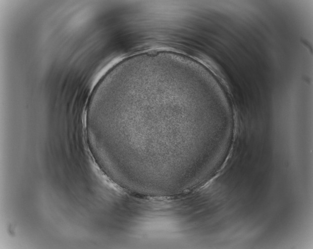 X0000102381198200808221755