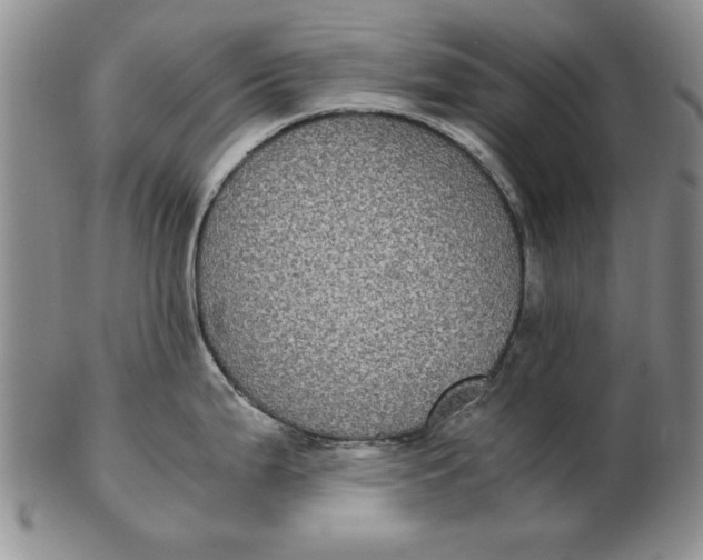 X0000102381199200808221755