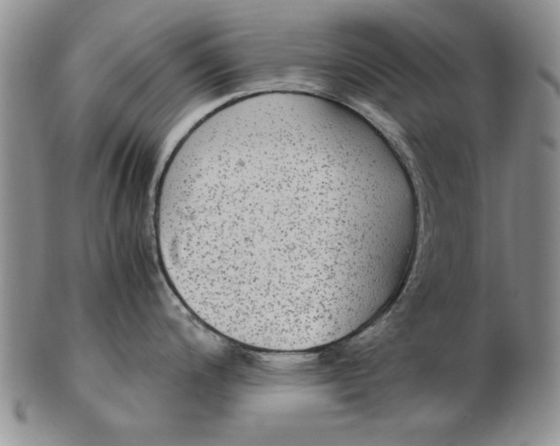 X0000102381200200808221755