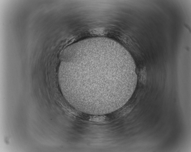 X0000102381201200808221754