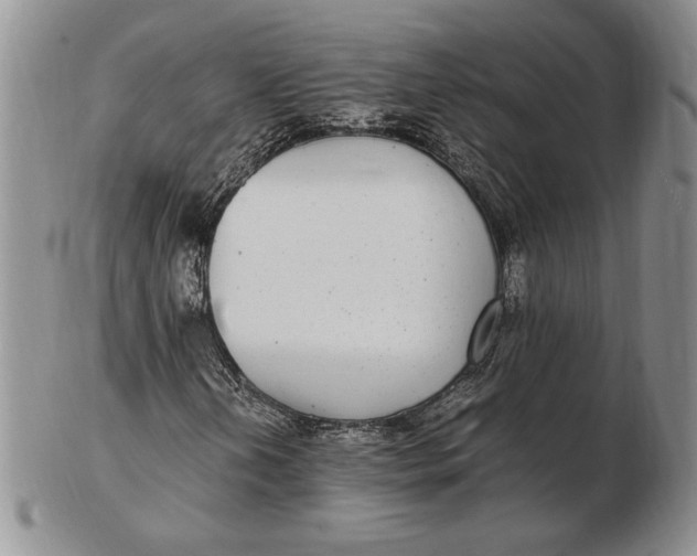 X0000102381202200808221754