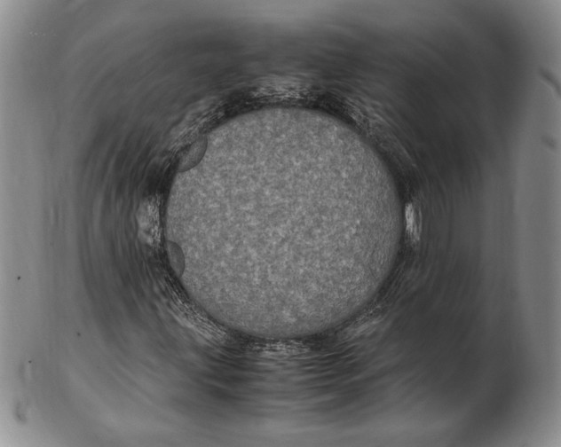 X0000102381203200808221754